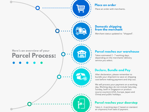 Package Delivery Process