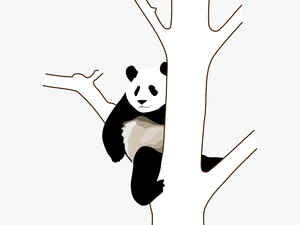 Panda On A Tree Clipart - Panda Clip Art