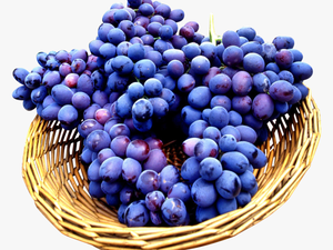 Seedless Grapes In Basket