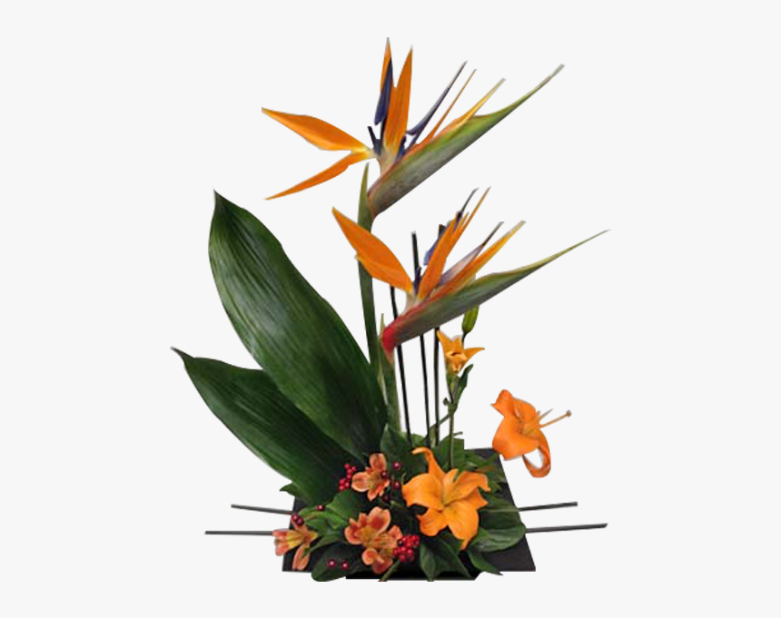 Bird Of Paradise Floral Png