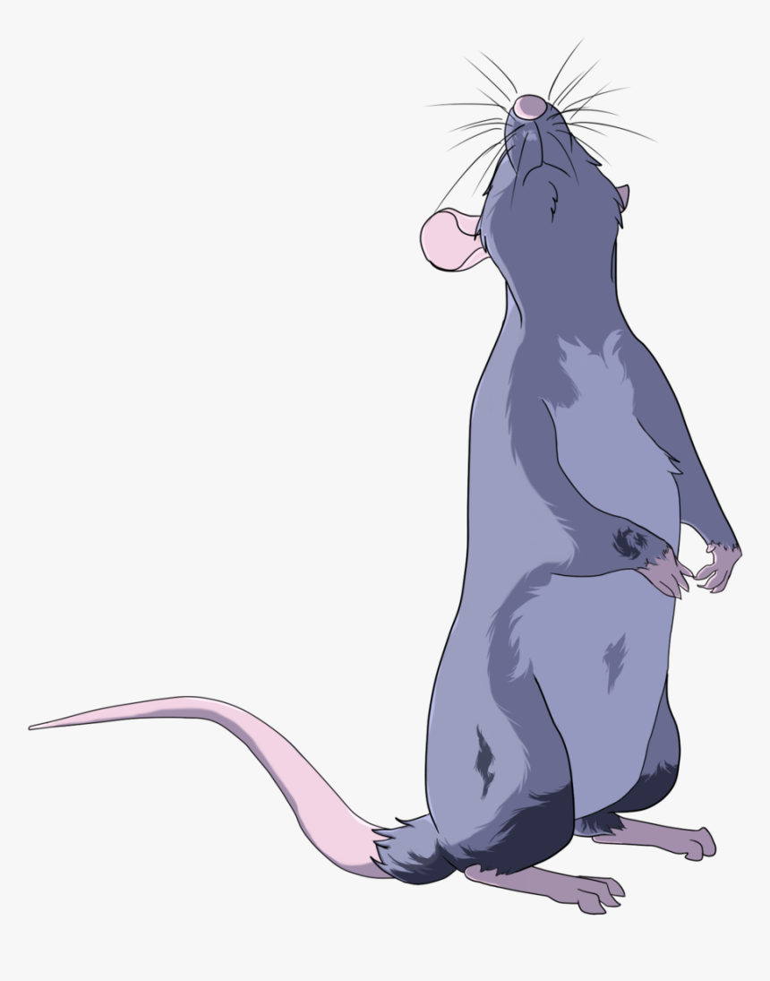 Clip Art Rat Standing Up - Rat D