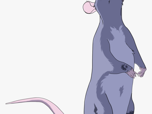Clip Art Rat Standing Up - Rat Drawing