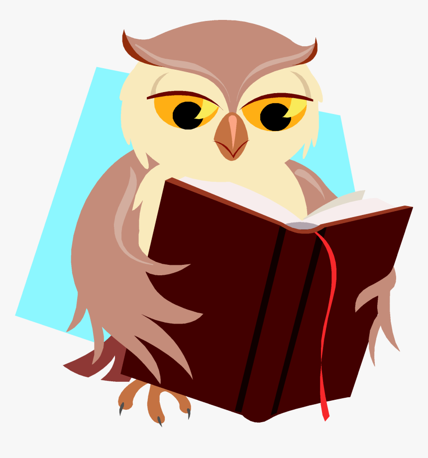 Reading Owl Clipart Schliferawar