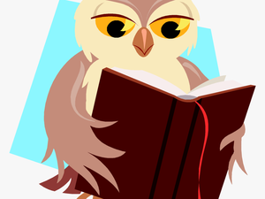 Reading Owl Clipart Schliferaward Transparent Png - Reading Owl Png