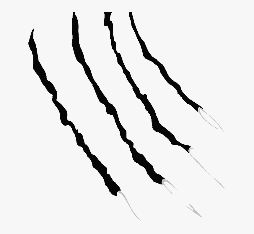 Claw Scratches Png Clipart - Cla