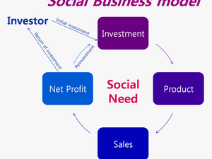 Yunus Social Business Model