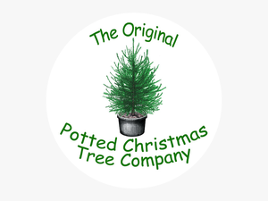 The Original Potted Christmas Tree Company - Christmas