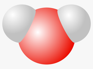 Water Molecule