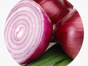 Onion Clipart Pungent - Redonion