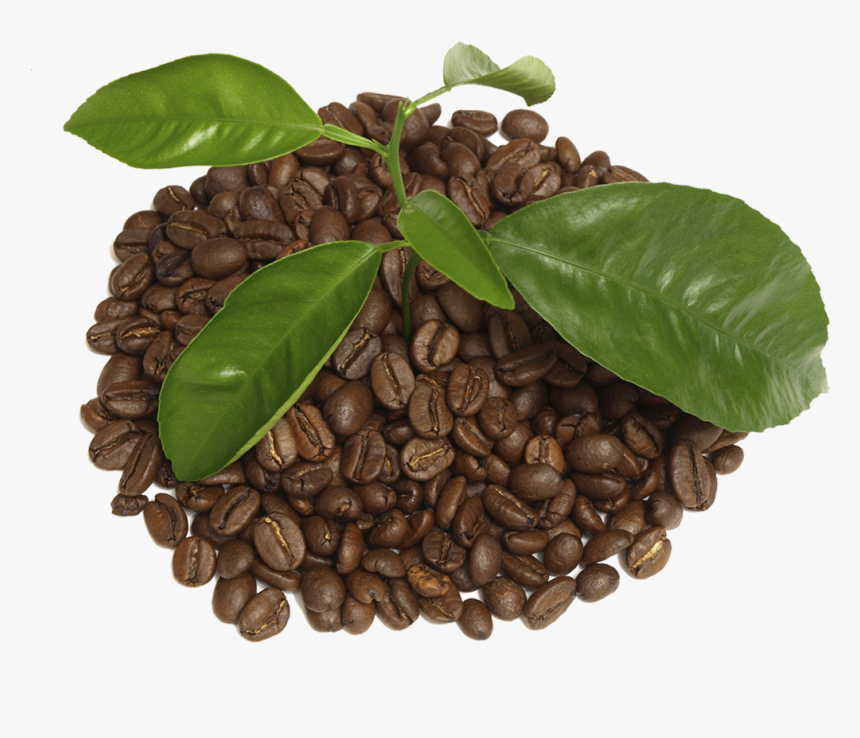 Coffee With Leaf Png - Houseplan