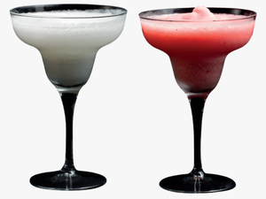 Bacardi Cocktail Margarita Cosmopolitan Daiquiri - Martini Glass