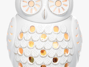 Transparent Snow Globe Png - Partylite Owl Jar Holder