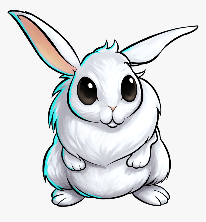 Snow Bunny - Domestic Rabbit