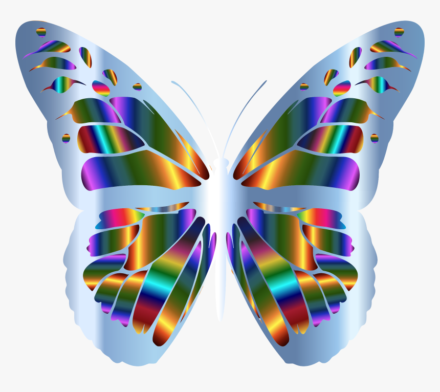 Iridescent Monarch Butterfly 23 