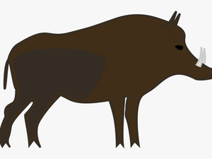 Transparent Cute Pig Png - Wild Boar Clipart No Background