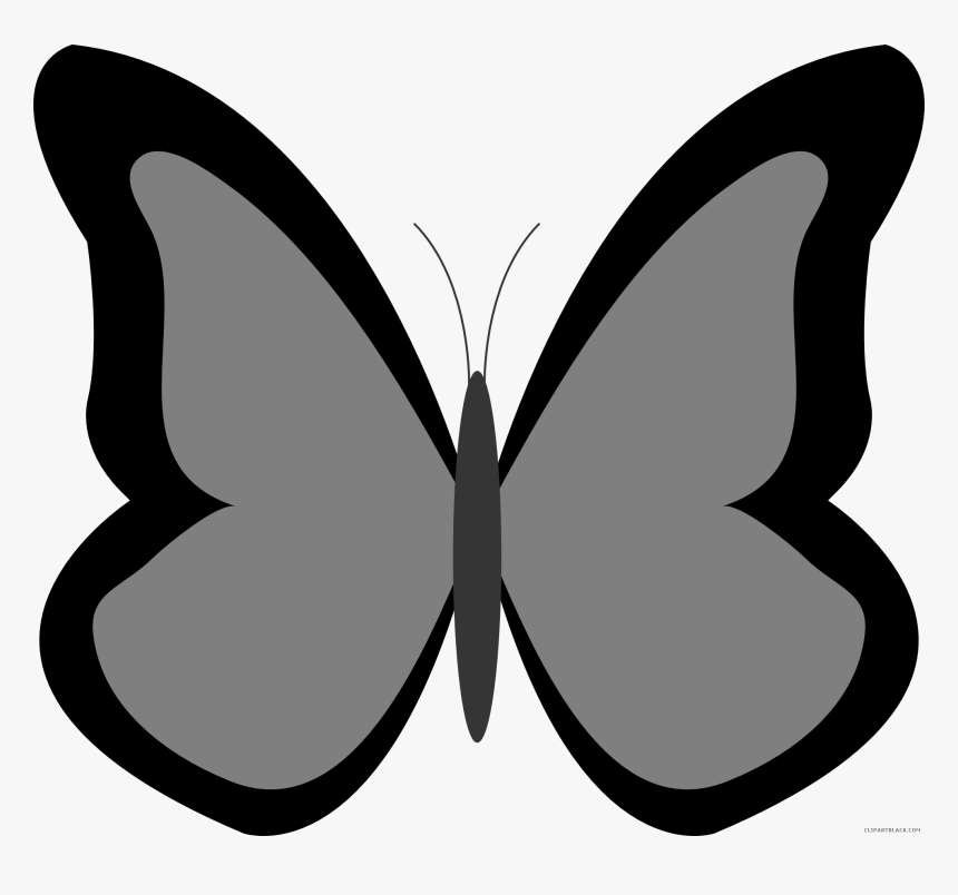 Butterfly Huge Animal Free Black White Clipart Images - Blue Butterfly Clipart