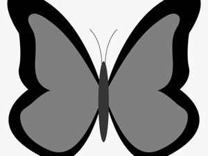 Butterfly Huge Animal Free Black White Clipart Images - Blue Butterfly Clipart