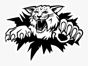 Lion - Moncton Wild Cats