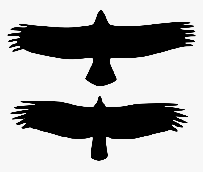 Eagle Silhouette Cliparts 23