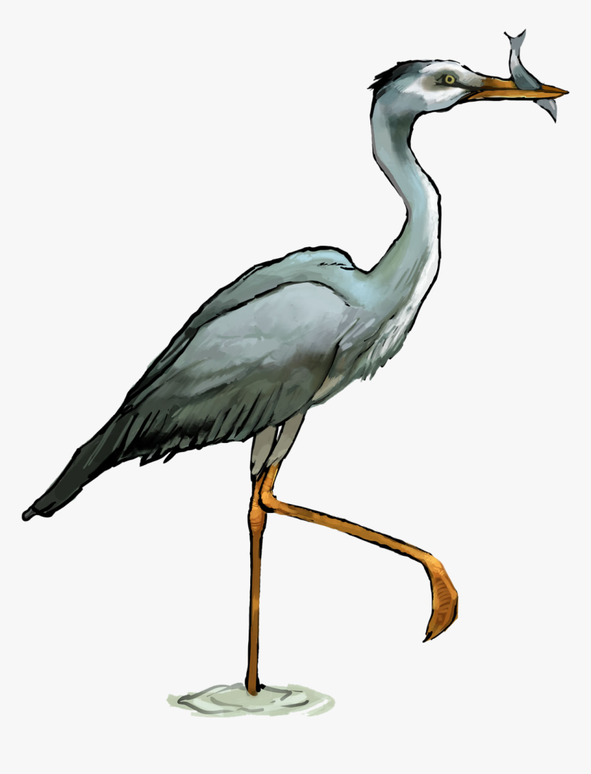 Clip Art Great Blue Heron Clipar