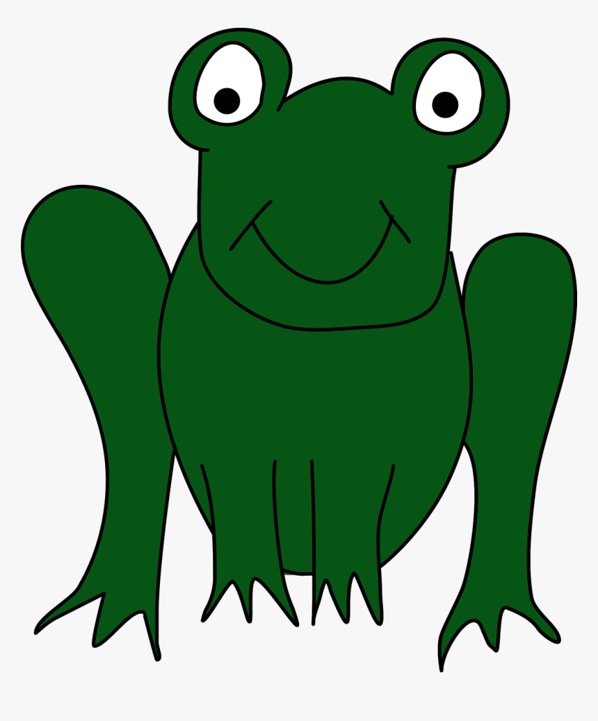 Frog Toad Animal - Frog