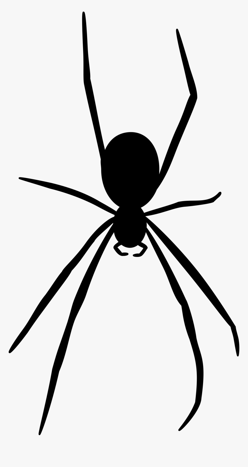 Spider Png Black And White - Spider Silhouette Clipart