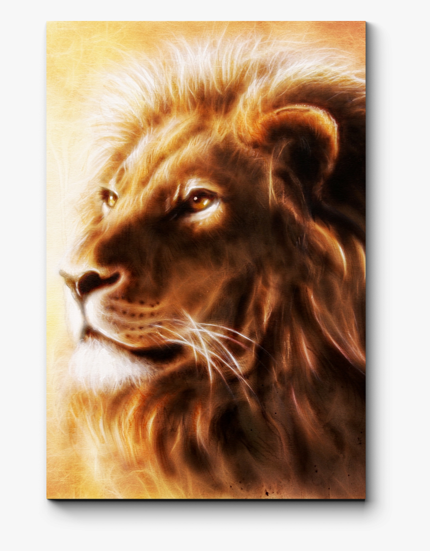 Lion Painting Airbrush Art Drawi