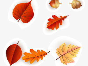 Continental Colorful Fresh Maple Leaf Pattern Vector - Autumn