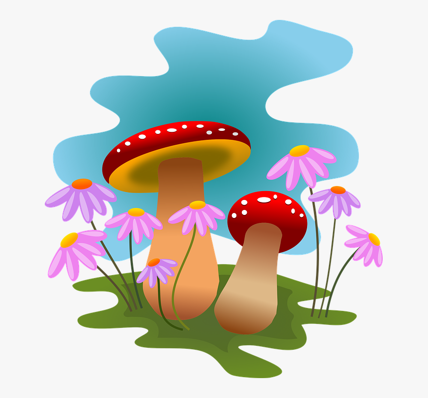 Transparent Forest Clipart Backgrounds - Clipart Mushrooms Png