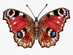 Red Butterfly Png - Brush-footed Butterfly