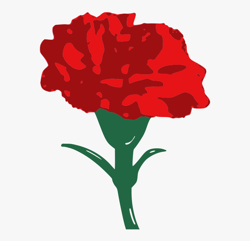 Carnation - Clip Art Red Carnation