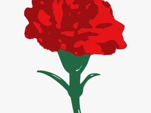 Carnation - Clip Art Red Carnation