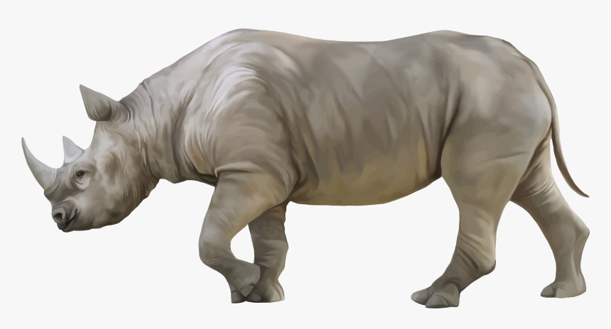 Rhino Png Clipart - Rhino Png