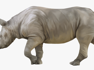 Rhino Png Clipart - Rhino Png