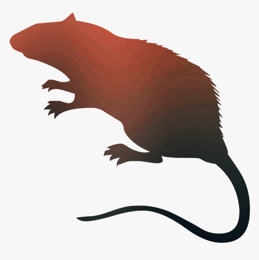 Rat Vector Graphics Royalty-free