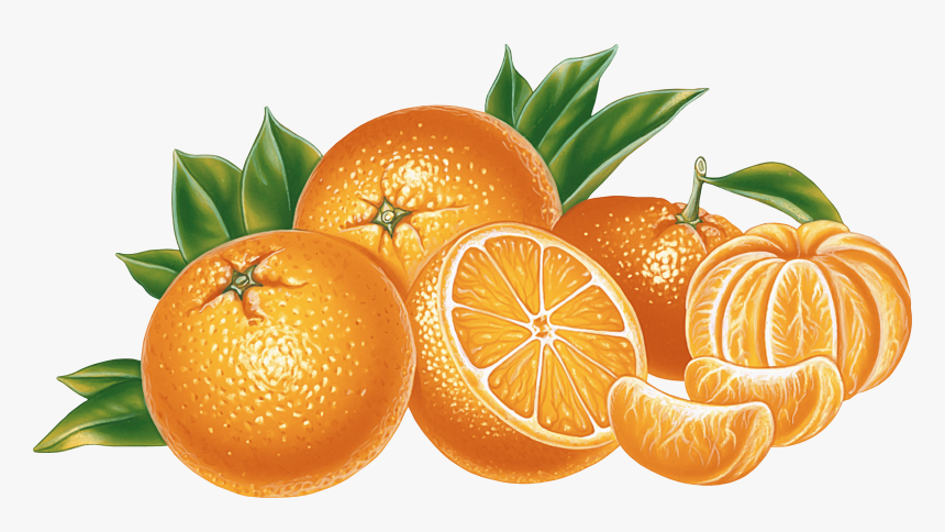 Orange Juice Download - Orange P