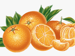 Orange Juice Download - Orange Png