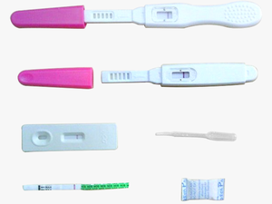Early Detection One Step Pregnancy Test