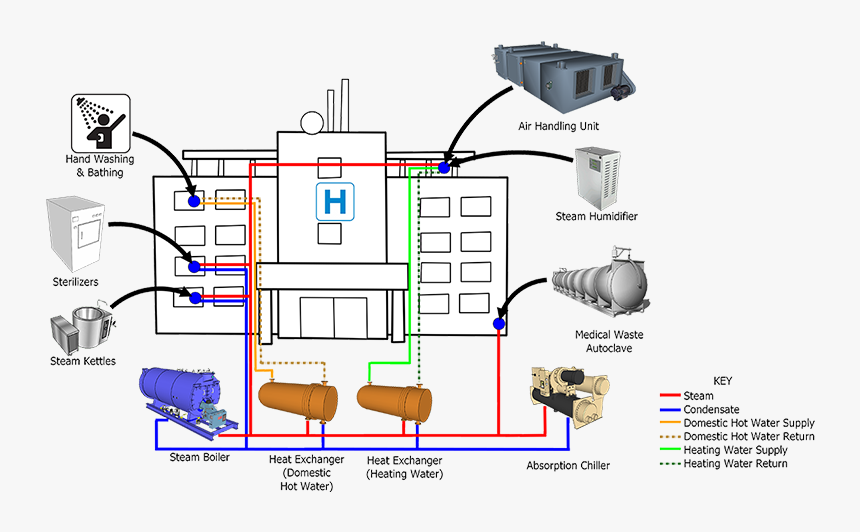 Steam Distribution Diagram - Water Supply System In Hospital