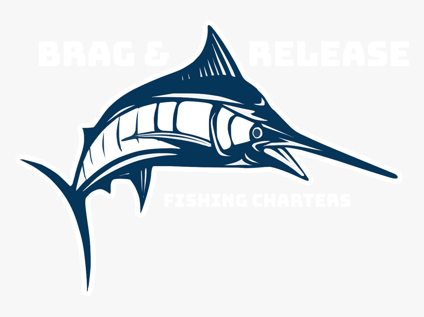 Brag And Release Fishing Charters - Swordfish Clip Art