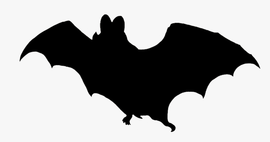 Transparent Cute Vampire Clipart - Halloween Bat Clipart