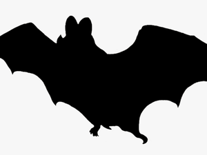 Transparent Cute Vampire Clipart - Halloween Bat Clipart