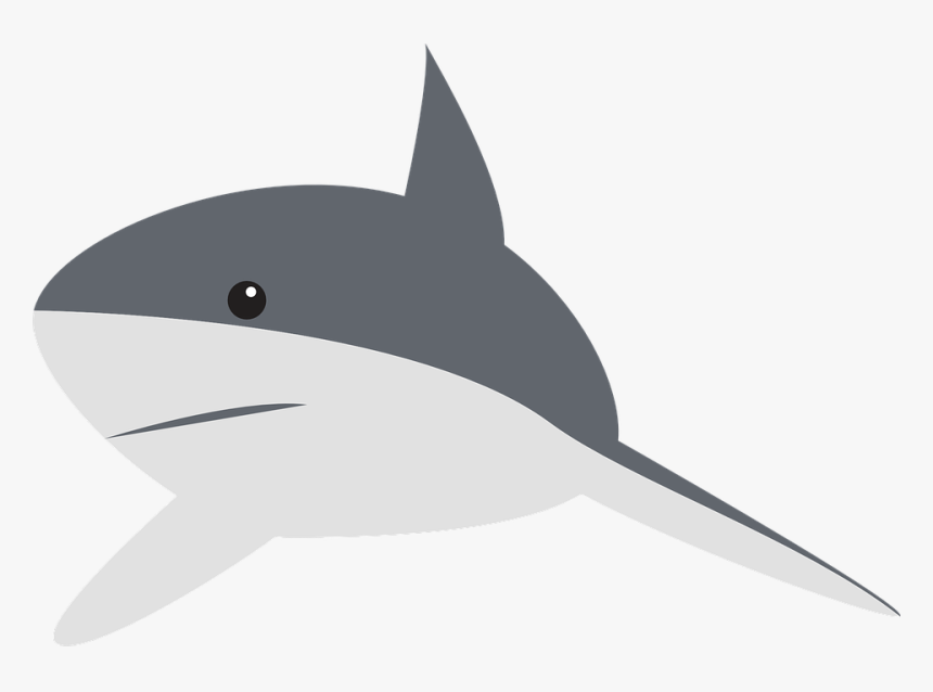 Aleta De Tiburon Png - Clipart Cartoon Shark