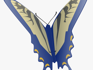 Butterfly Clip Art At Clker - Gifs Animated Butterfly Flying