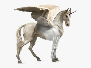 #horse #alado #aladus #cavalo #asas #wings #mikah014 - Akhal Tekini Howrse