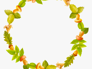 Green Fresh Decorative Wreath Transparent Clipart 