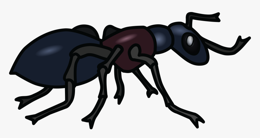 Transparent Ant Clipart - Ant Black And White