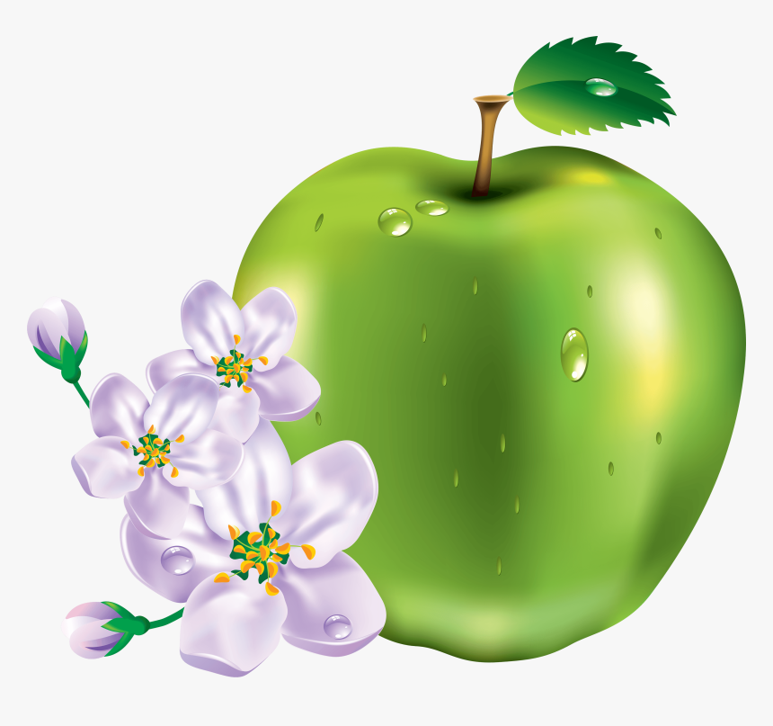15 Green Apple Png Image Clipart Image - Transparent Transparent Png Green Apple Flowers