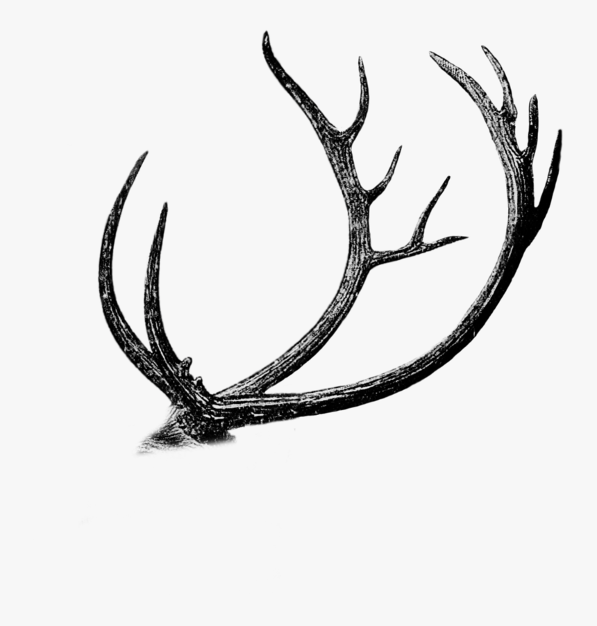 Free Png Antler Cutout By Mauvev