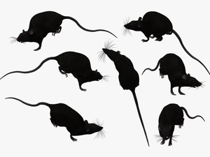 Rat Silhouette Png - Portable Network Graphics